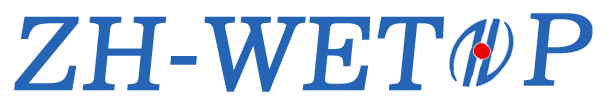 ZH-Wetop Food Machinery